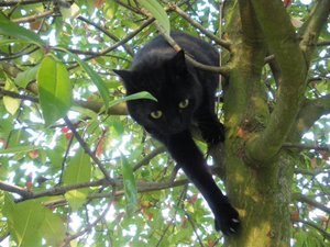 IMGP1063 (800x600).jpg