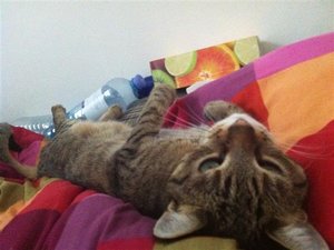 was guckst du (Small).JPG