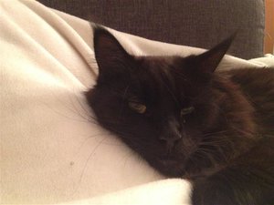 kuscheln (Small).JPG