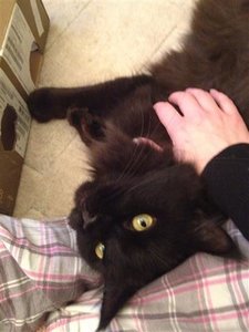 schmusen (Small).JPG