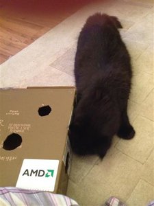 Fummelbox (Small).JPG