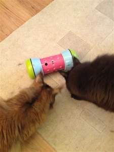 Pipolino2 (Small).JPG