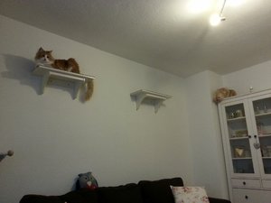 20130405_172756 (1024x768).jpg