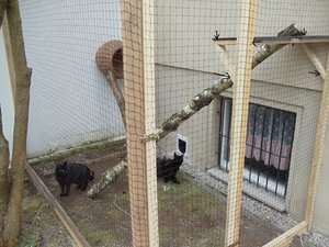 DSC02508 - Kopie.jpg