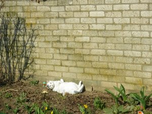 IMGP1089 (800x600).jpg