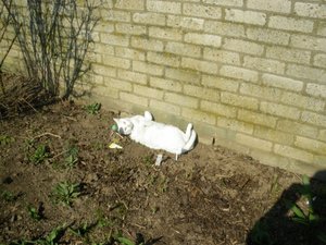 IMGP1090 (800x600).jpg