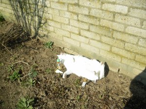 IMGP1091 (800x600).jpg