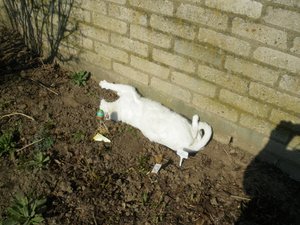 IMGP1092 (800x600).jpg