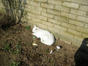 IMGP1094 (800x600).jpg