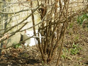 IMGP1095 (800x600).jpg