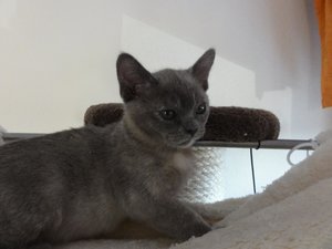 2013-04-07 07-1.59.23.jpg