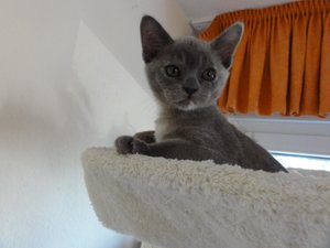 2013-04-07 07.59.37.jpg