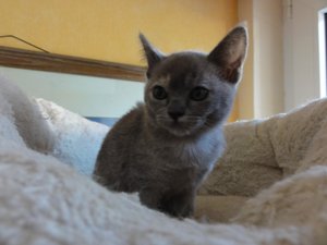 2013-04-07 08.00.30.jpg