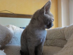 2013-04-07 08.00.36.jpg