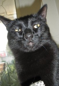 IMGP1120 (800x600).jpg