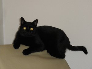 IMGP1150 (800x600).jpg