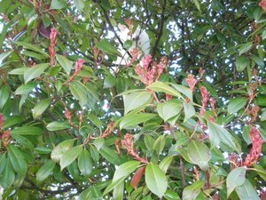 IMGP1179 (800x600).jpg