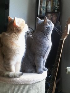 2013-04-07 09.31.20.jpg