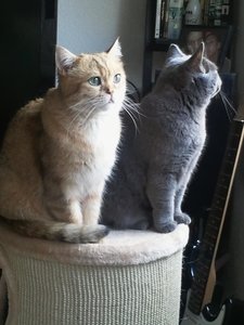 2013-04-07 09.31.38.jpg