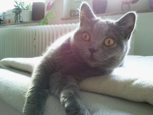 2013-04-07 08.54.46.jpg