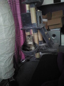 2013-04-11 07.37.45.jpg