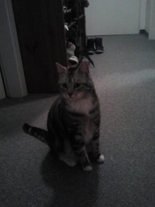 2013-04-10 18.58.13.jpg