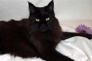 IMG_2012 (Small).JPG