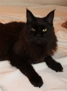 IMG_2032 (Small).JPG