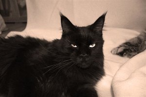 IMG_2040 (Small).JPG