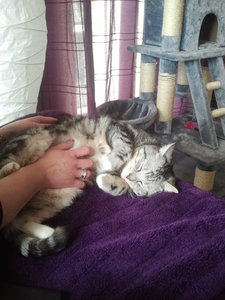 2013-04-12 14.45.01.jpg