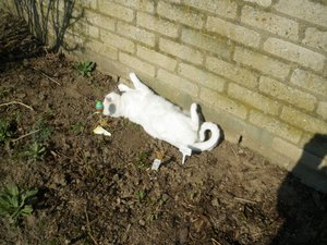 IMGP1093 (800x600).jpg