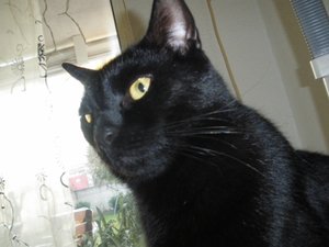 IMGP1117 (800x600).jpg