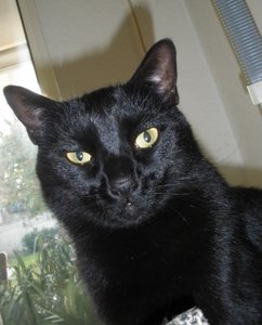 IMGP1119 (800x600).jpg