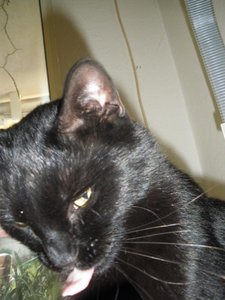 IMGP1122 (800x600).jpg