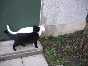 IMGP1236 (800x600).jpg