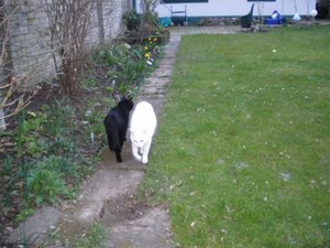 IMGP1239 (800x600).jpg