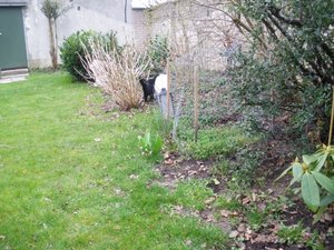 IMGP1246 (800x600).jpg