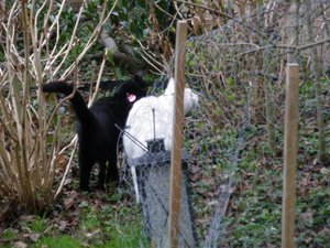 IMGP1247 (800x600).jpg