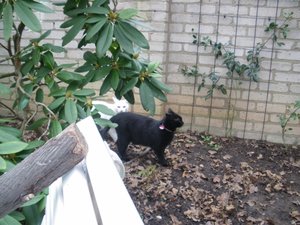 IMGP1249 (800x600).jpg