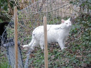 IMGP1248 (800x600).jpg