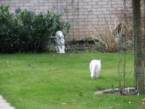 IMGP1256 (800x600).jpg