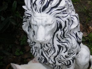 IMGP1255 (800x600).jpg