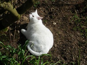 IMGP1257 (800x600).jpg