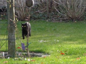 IMGP1265 (800x600).jpg