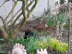 IMGP1269 (800x600).jpg