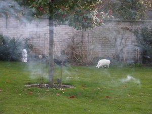 IMGP1286 (800x600).jpg