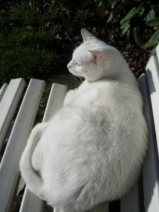 IMGP1288 (800x600).jpg