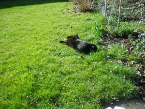 IMGP1290 (800x600).jpg