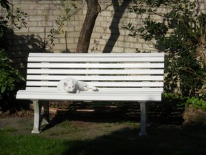 IMGP1294 (800x600).jpg