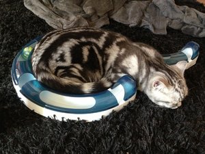 2013-04-15 14.41.55.jpg